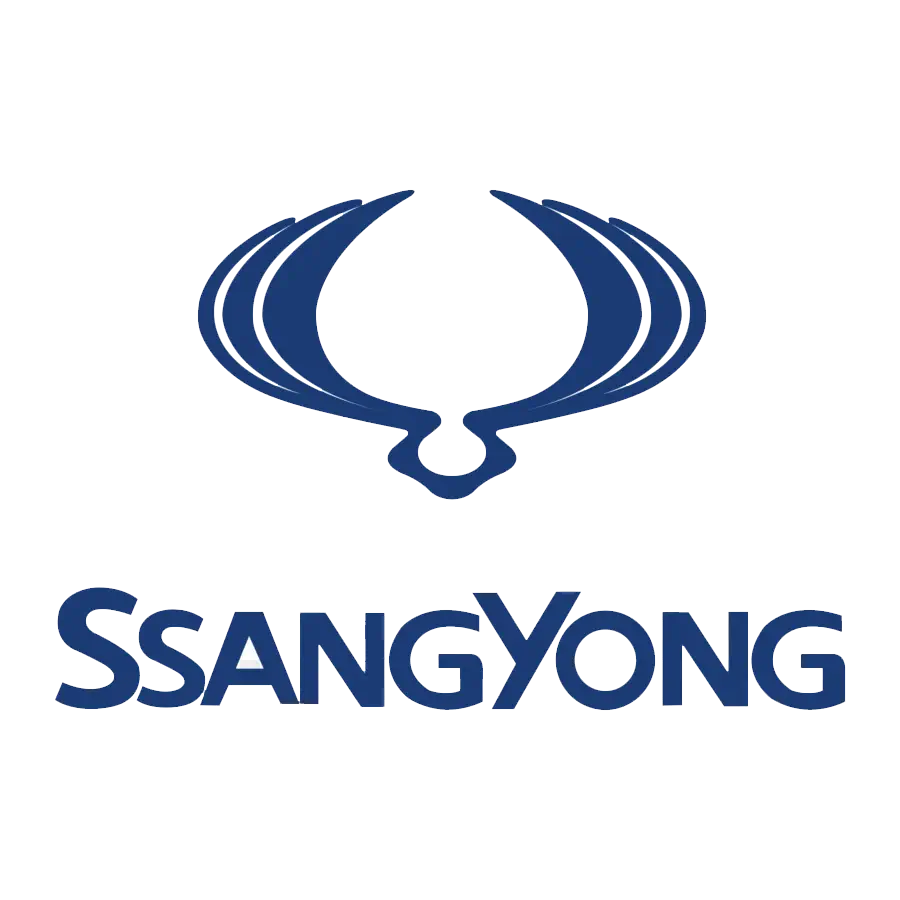 SSANG YONG