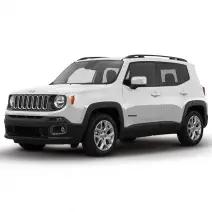 RENEGADE