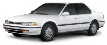 ACCORD 7