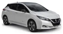 LEAF ZE1
