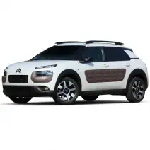 C4 CACTUS
